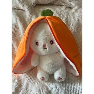 Transforming Carrot into Bunny Plush